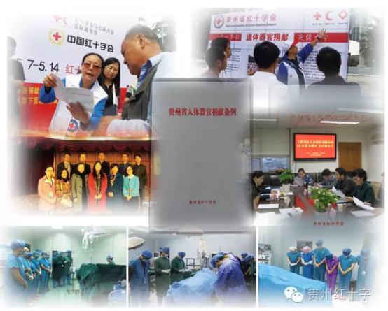 贵州省红十字会7743.png