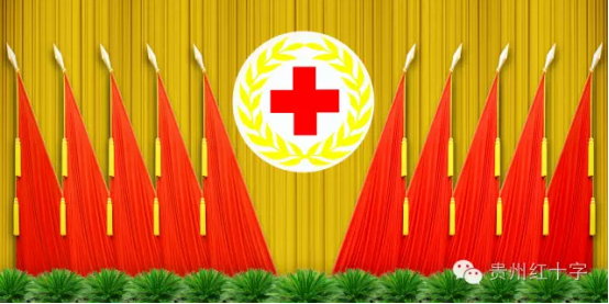 贵州省红十字会8526.png