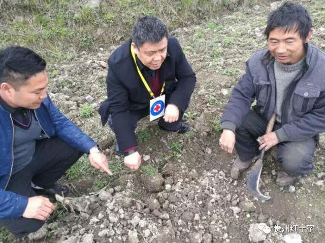 95c135f.jpg
