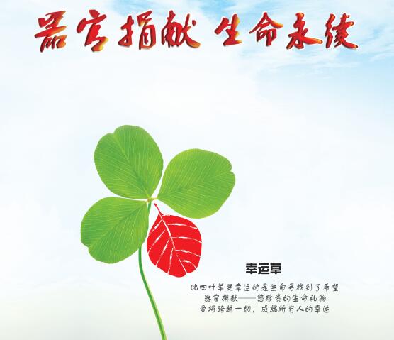 QQ截图20170517110510.jpg