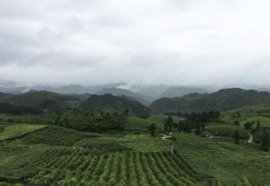 未标题-3.jpg