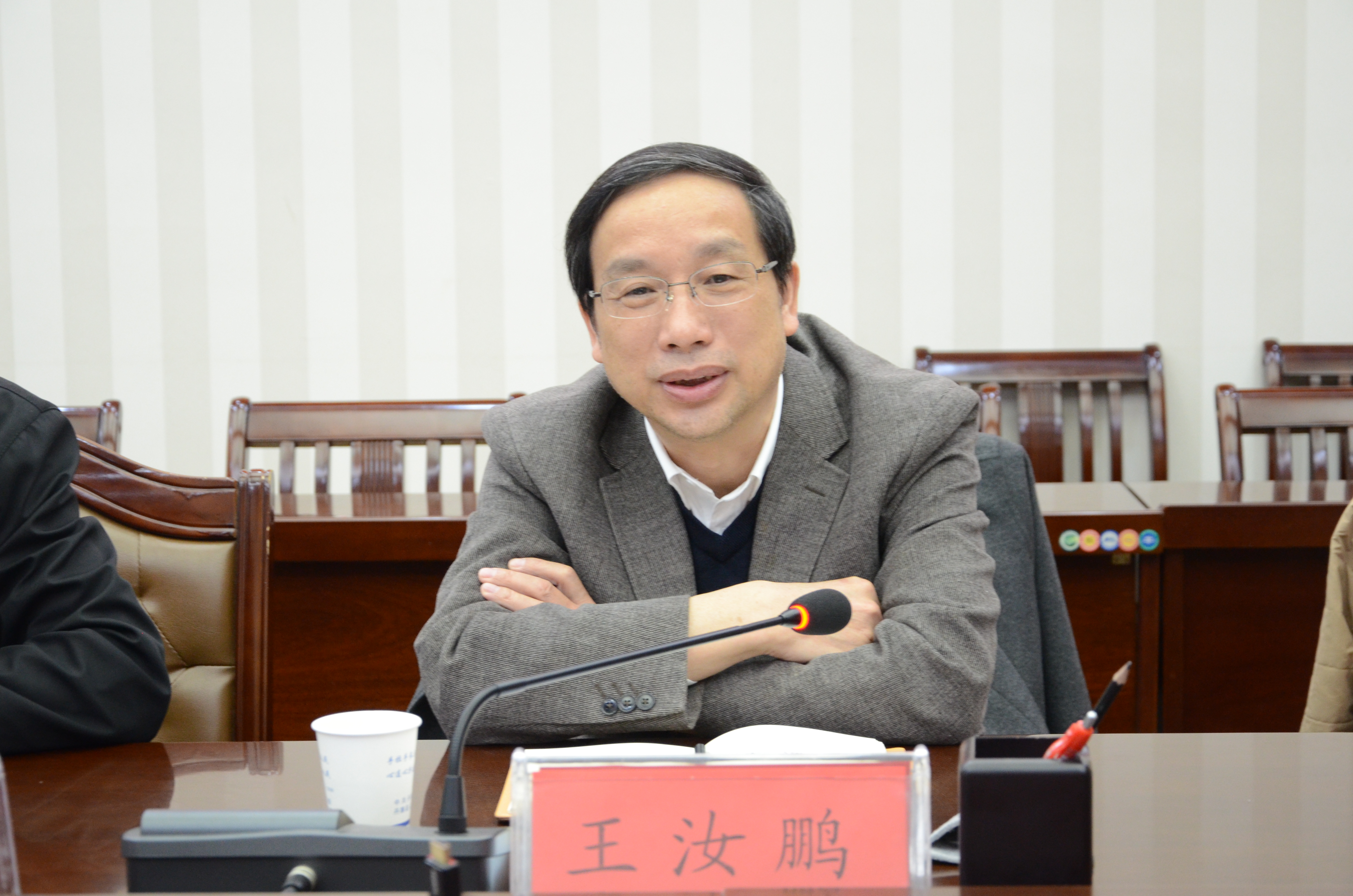 中国红十字会党组成员、副会长王汝鹏.JPG