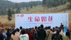 2019年人体器官捐献缅怀纪念活动（组图）